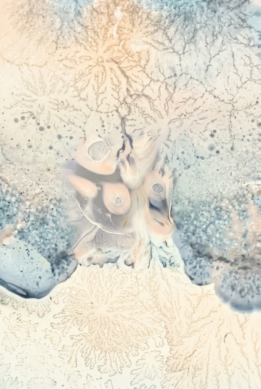 RENEWCELL
