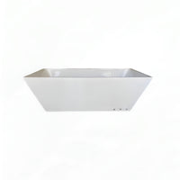 Cold Plunge with Chiller image 0